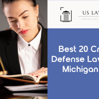 Criminal Defense Lawyers in Michigan