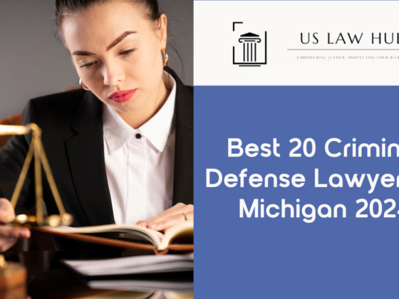 Criminal Defense Lawyers in Michigan